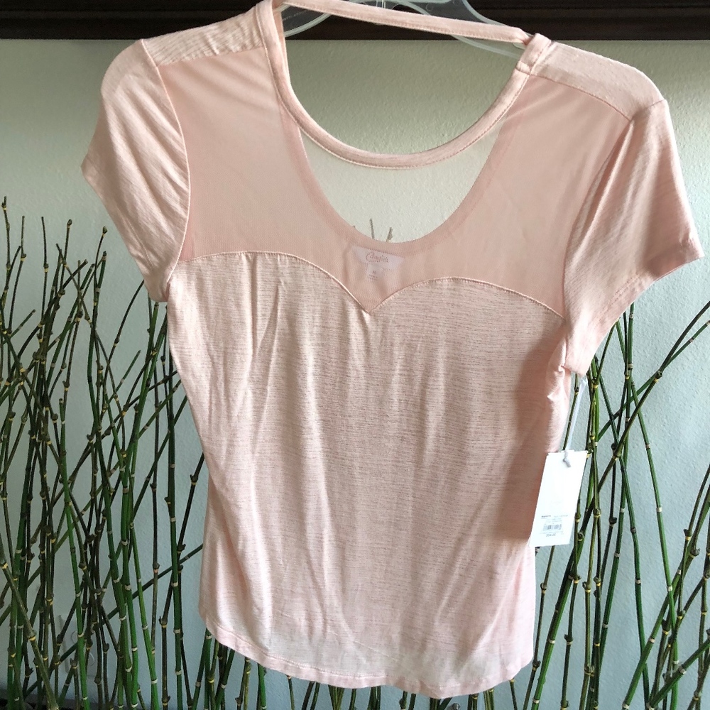 Cute Mesh Top